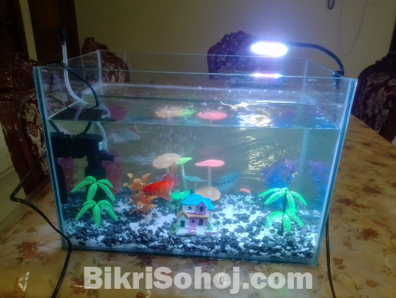 টেবিল একোরিয়াম